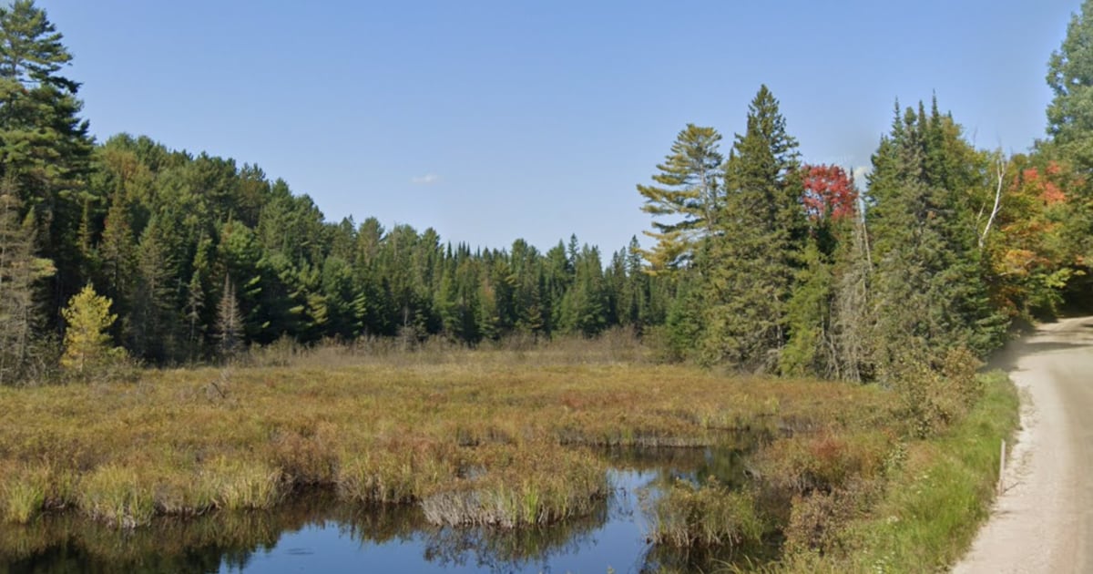Heavy police presence in Huntsville area linked to Barrie investigation - CTV News