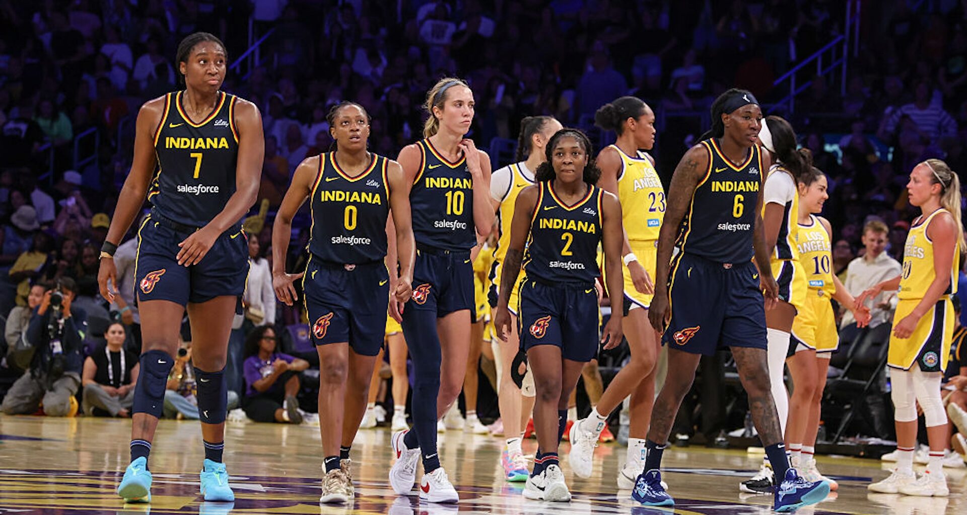 Lamest Members Of Society Claim Responsibility For WNBA Dildo-Throwing Epidemic