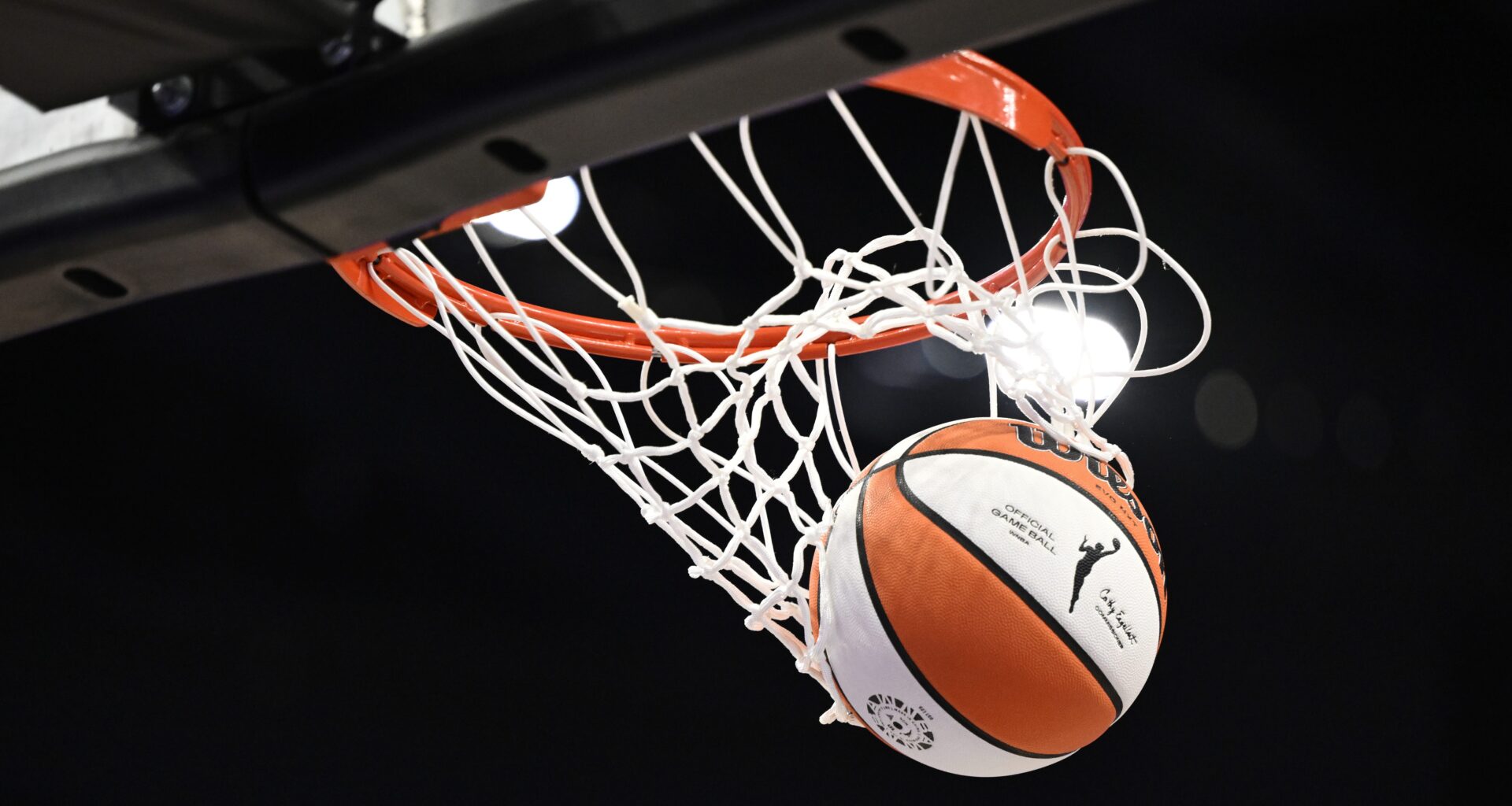 Throwing sex toys on court at WNBA games is about power, not humor — Andscape