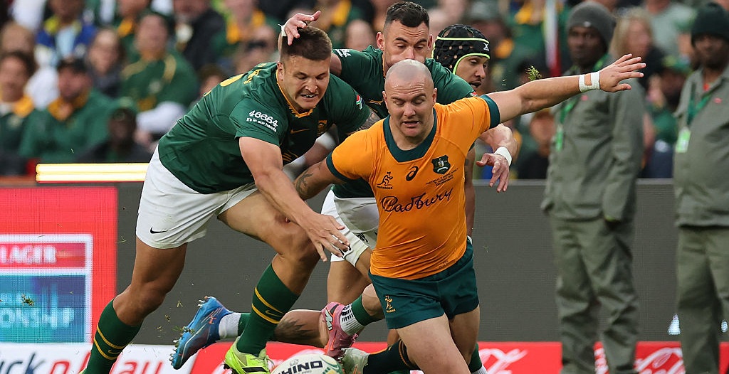 Two Wallabies flown home as Joe Schmidt counts Ellis Park toll