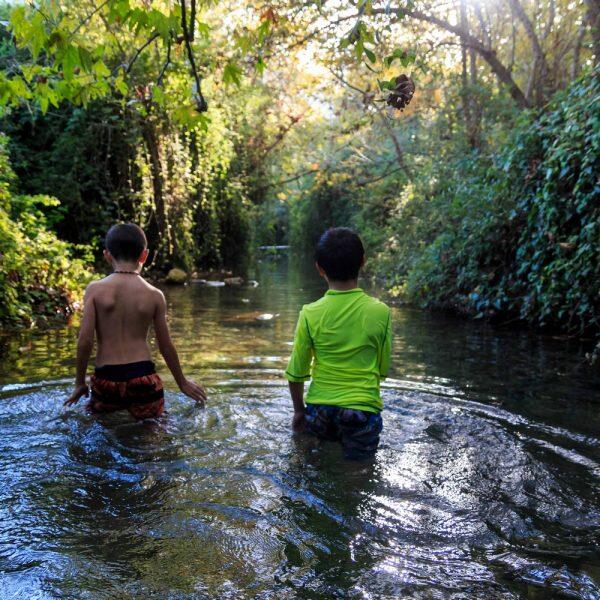 מסלול רטוב ב"ג'ונגל" של עין חרדלית