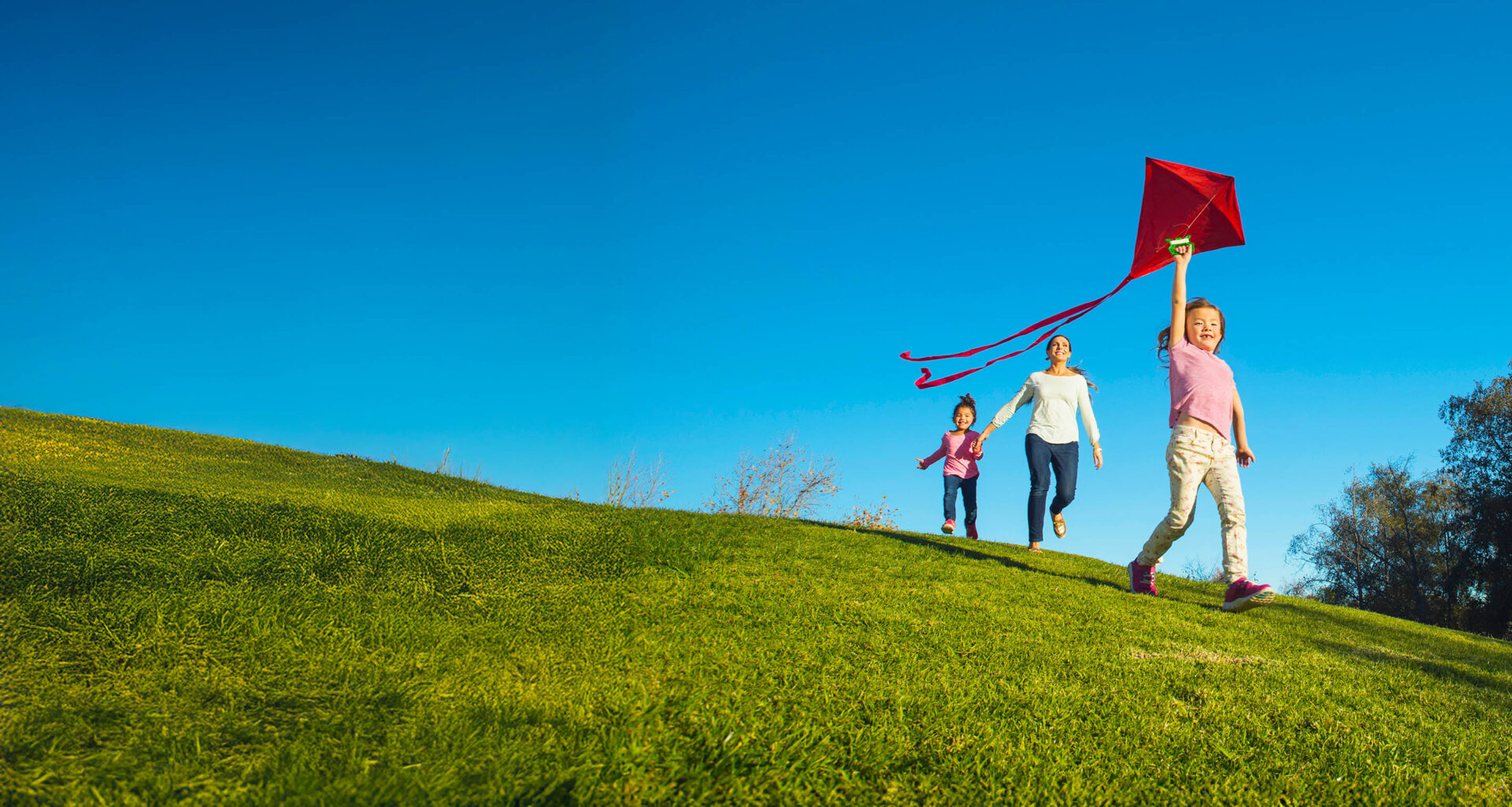 Aviva plc 2025 interim results announcement