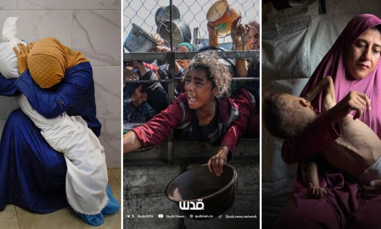 Tuesday in Gaza: Israeli Forces Kill 60+ Palestinians, 3 Die of Starvation |