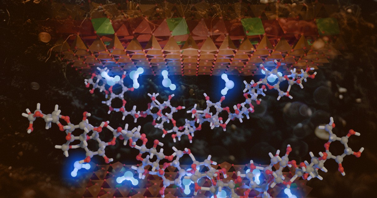 How organic matter traps water in soil — even in the driest conditions