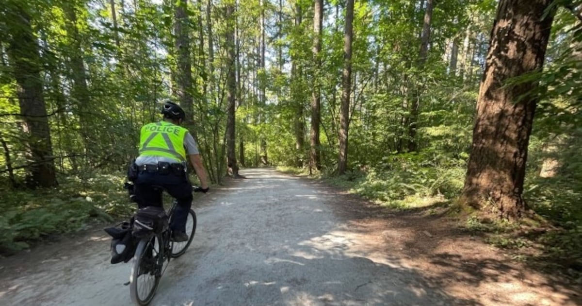 Woman groped by stranger in Burnaby’s Central Park, police say - CTV News