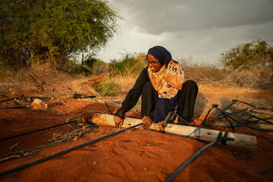 Back to the farm: Africa’s youth power up food security