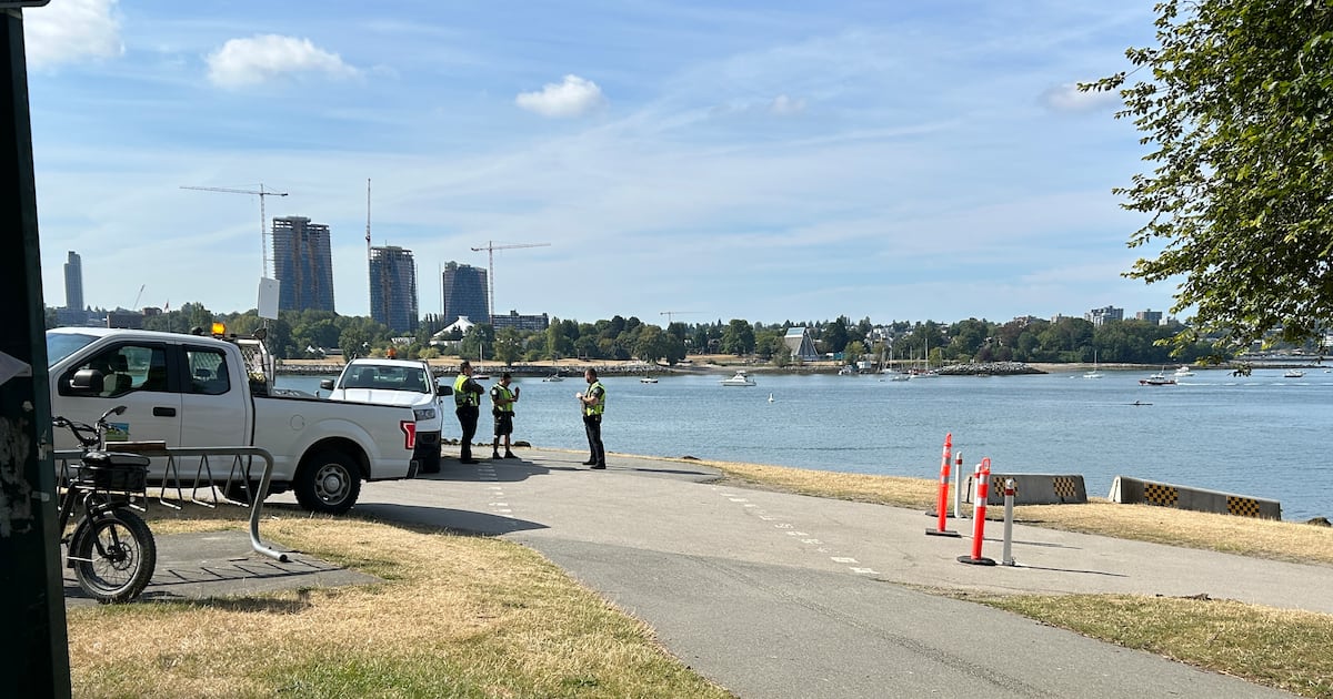 African Descent Festival in Vancouver cancelled after city denies permit - CTV News