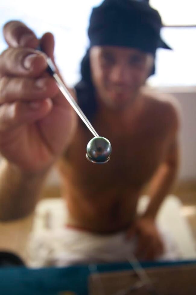 A farm employee holding a freshly harvested pearl from an oyster.