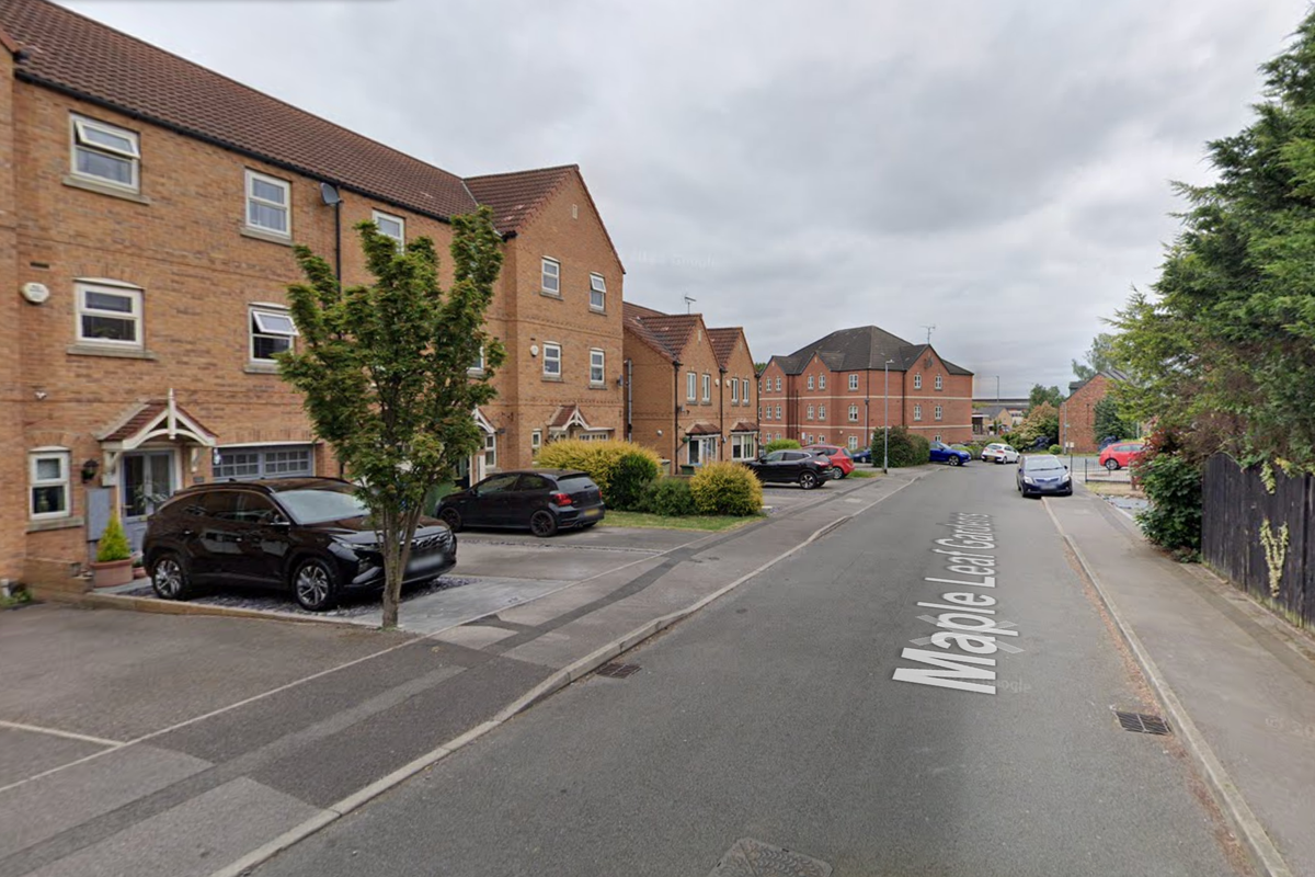 Two people seriously injured in ‘XL bully’ dog attack