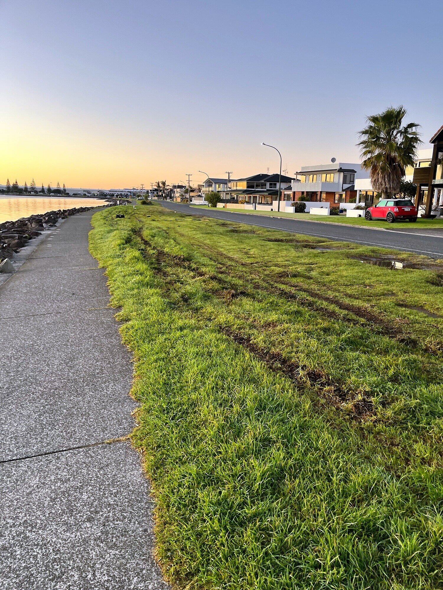 Damage from vehicles to the berm on Harbour Drive in Ōtūmoetai. Photo / Supplied