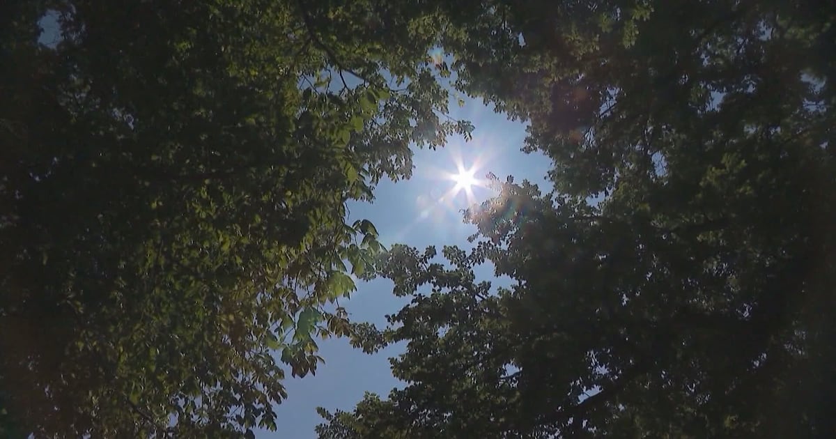 Parts of B.C. under heat warning, temperatures up to 39 C expected - CTV News