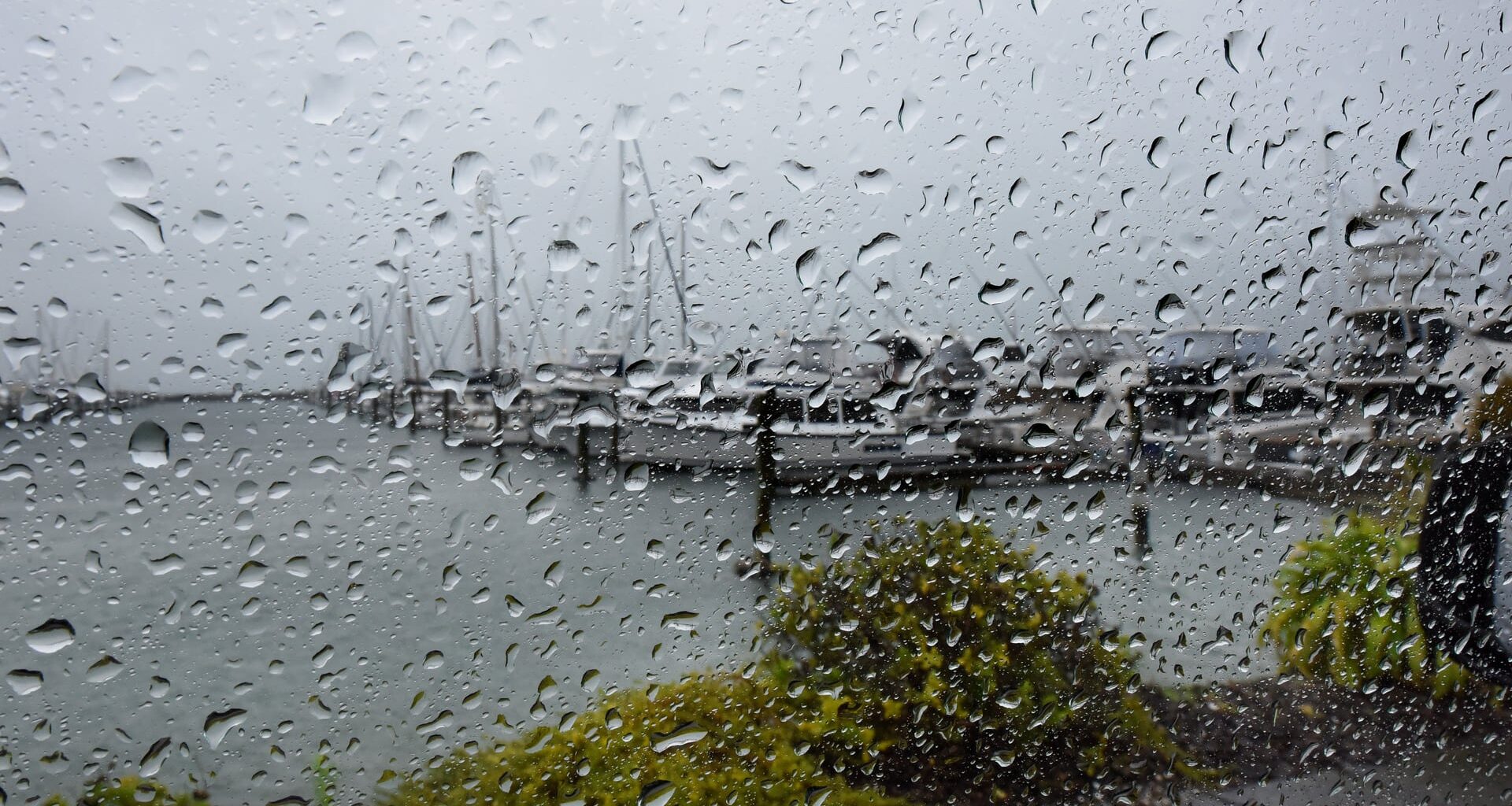 SunLive - Wet spring likely for NZ