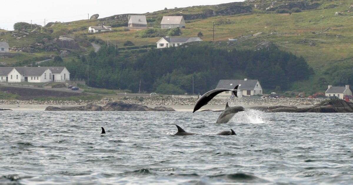 Inquiry into fisherman’s death found onboard safety culture below required standard – The Irish Times