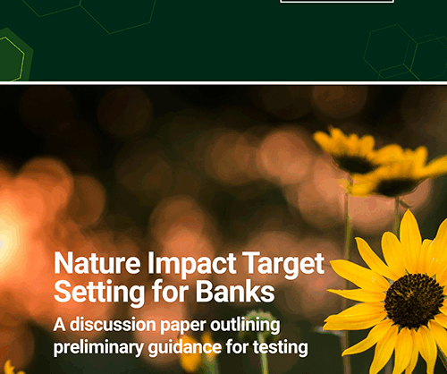 Nature Impact Target Setting for Banks – United Nations Environment – Finance Initiative