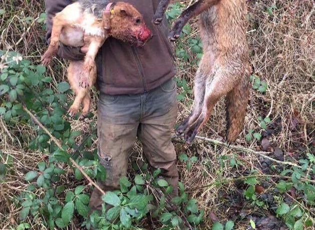 Neil Pinkerton - East Belfast Division One: Alleged animal-abusing head of ‘vigilantes’ slams rival anti-immigrant group