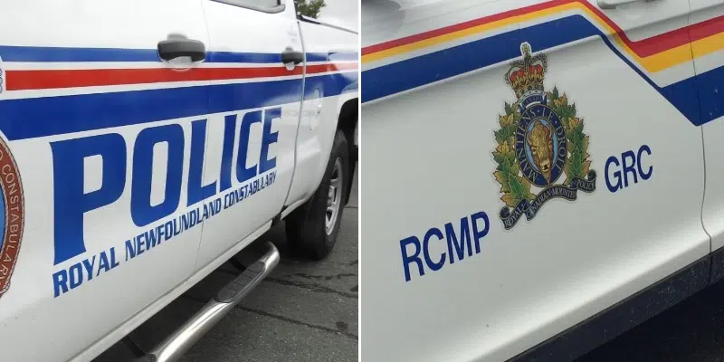 Man Who Took Police on a Day-Long Chase in Stolen Car Arrested on Metrobus in St. John's