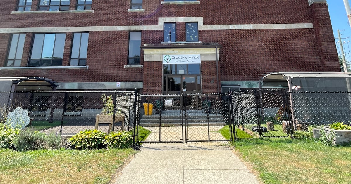 Bat found in Brantford, Ont. daycare tests positive for rabies - CTV News