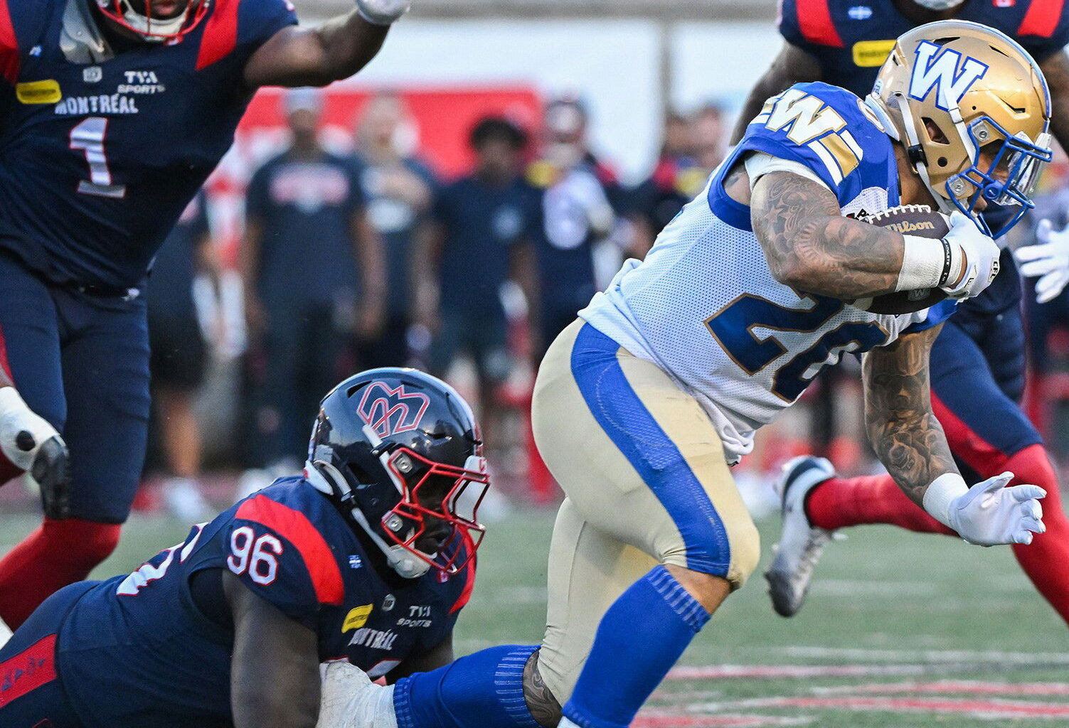 Pablo Herrera Vergara