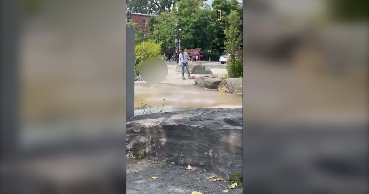 Montreal police arrest suspect after Jewish father beaten in front of his children in park - CTV News