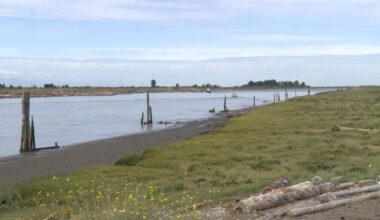 Canada’s longest trial ends in precedent-setting B.C. land claim ruling for 4 First Nations