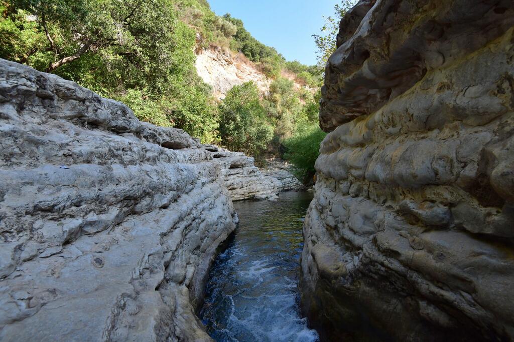 הנקיק של עין טמיר
