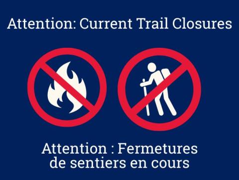 City of Saint John keeps trails closed to protect the community and parks during dry conditions