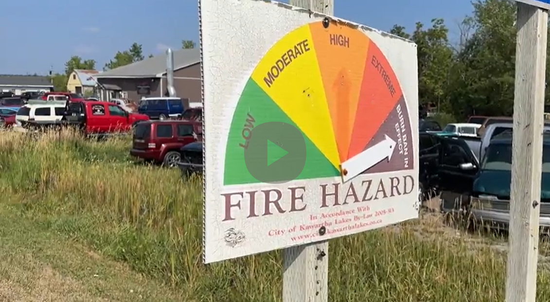 Crews battling 27-hectare forest fire in Kawartha Lakes