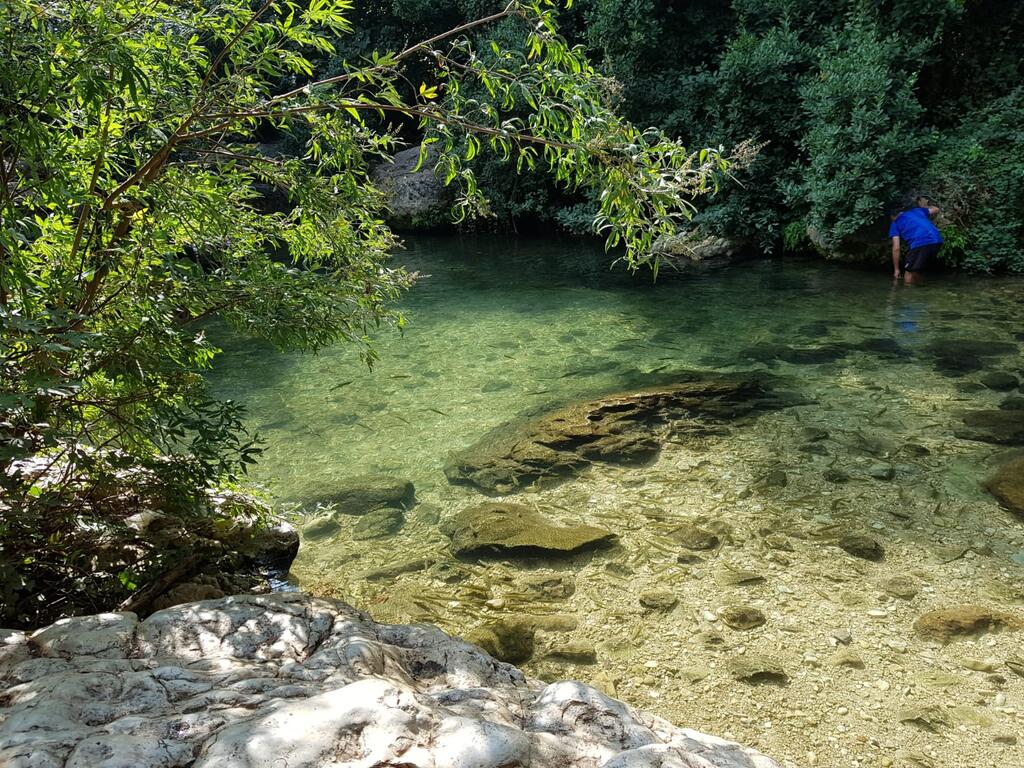 בריכה בנחל כזיב