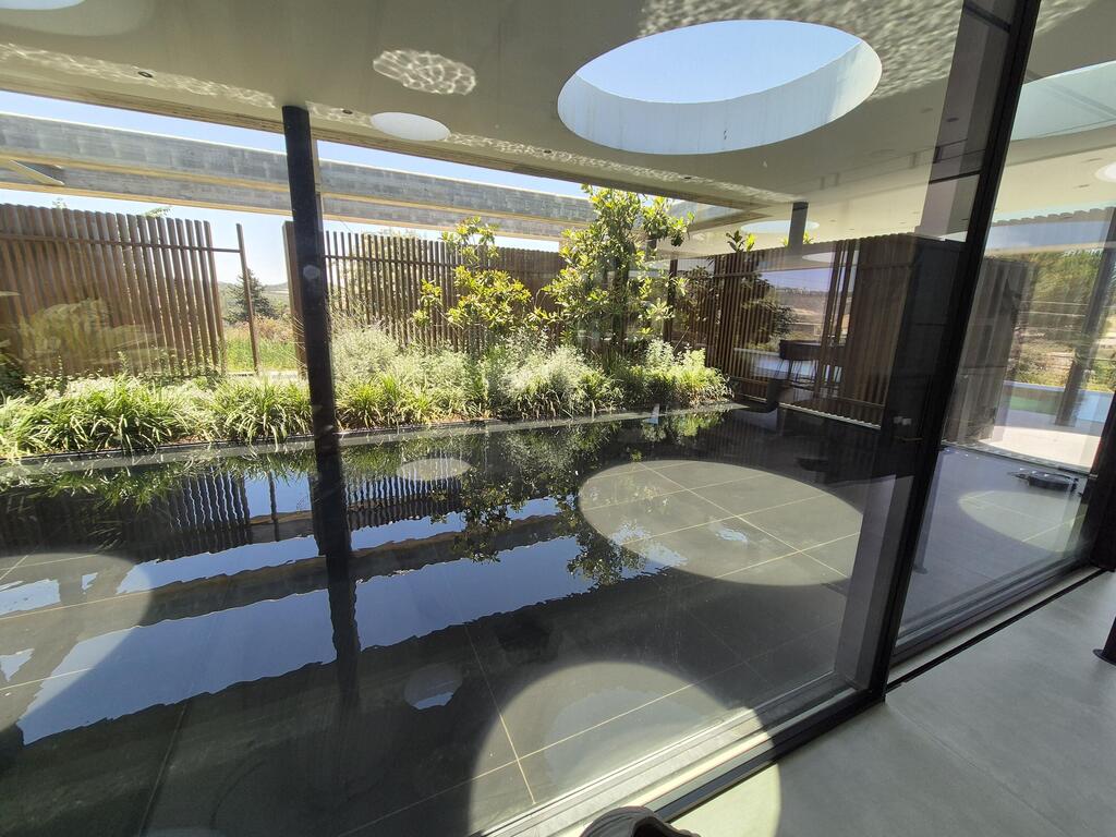 בריכה בעיצוב דני ישראלוביץ