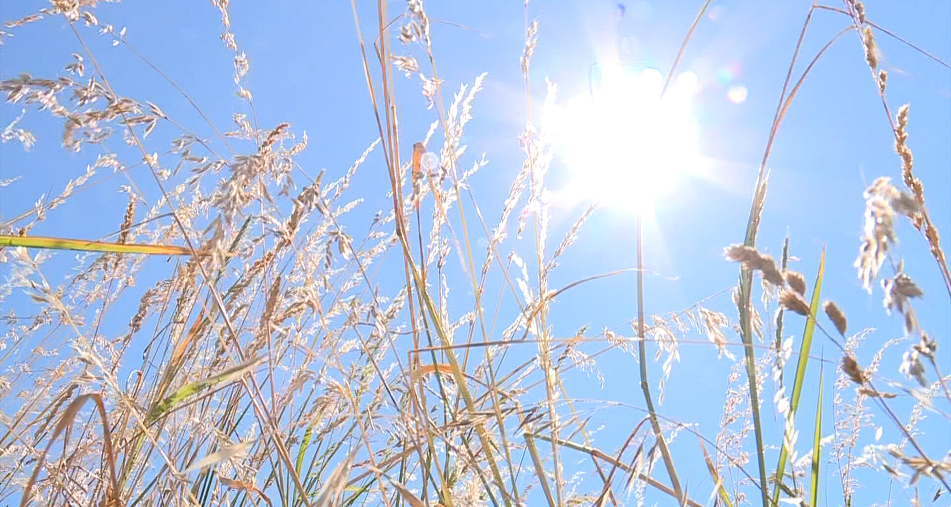 Parts of southern B.C., Vancouver Island under Environment Canada heat warning