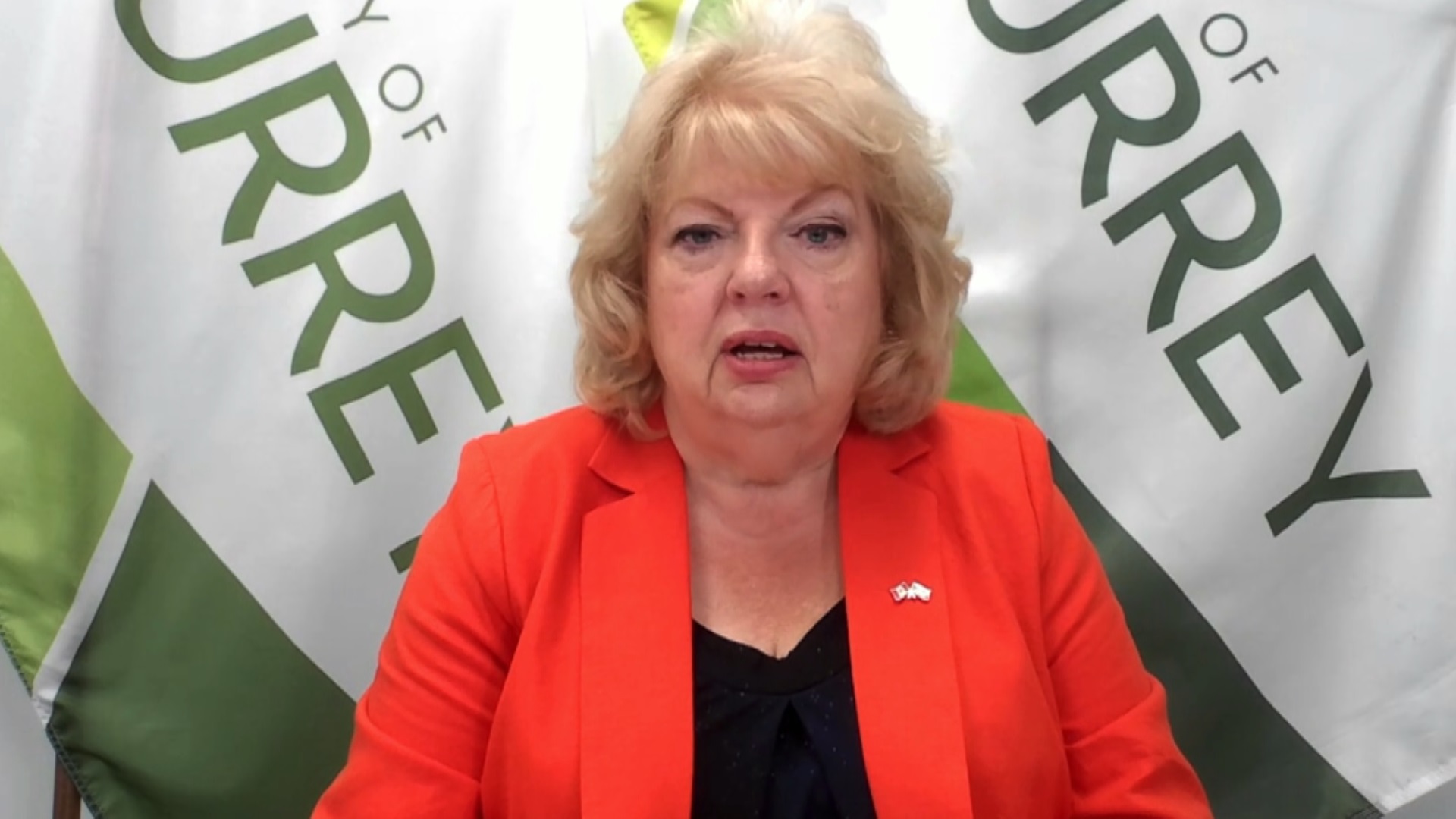 Click to play video: 'Surrey takes action against illegal construction'