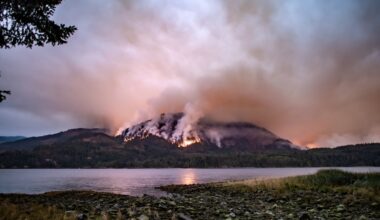 Gen Z doesn’t need a year of national service. They’re already drafted into decades of service for older Canadians