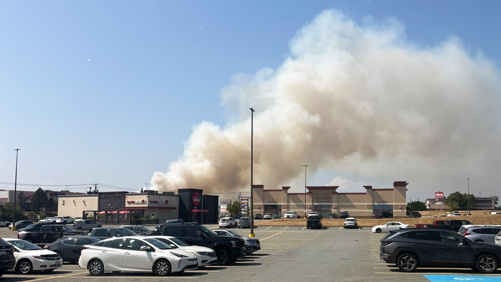 Wildfire near Bayers Lake prompts evacuation of businesses