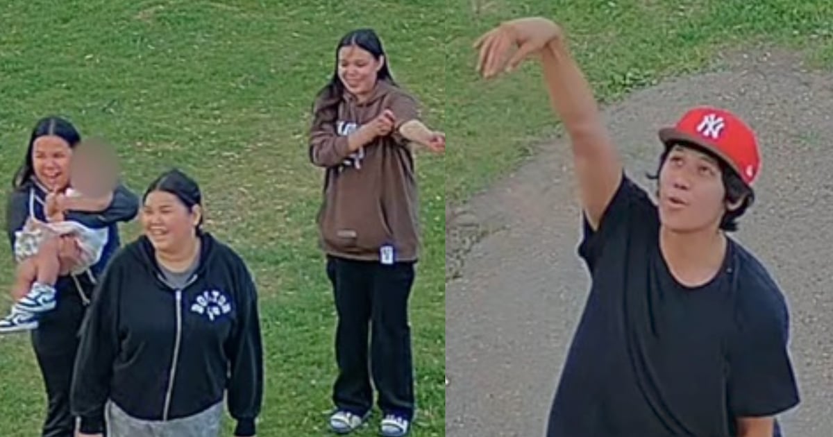 Edmonton police searching for persons of interest in playground arson - CTV News