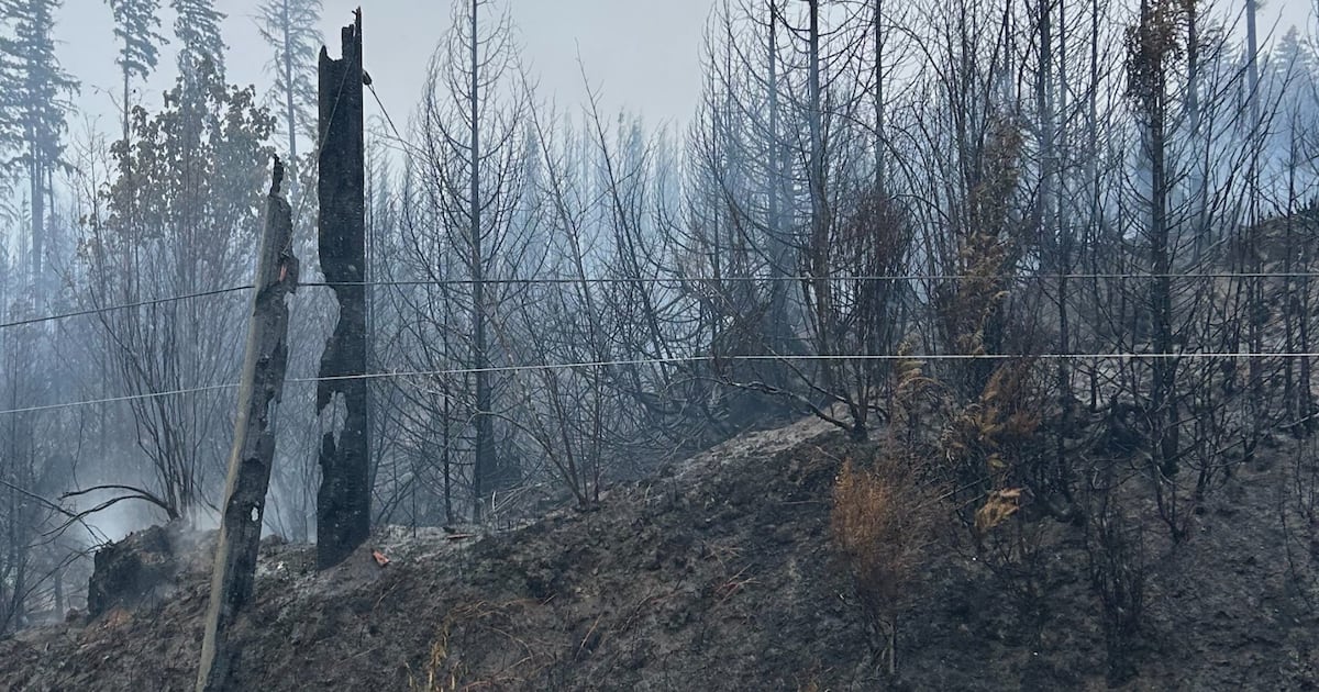 Wildfire leaves Vancouver Island tourism town without power for weeks - CTV News