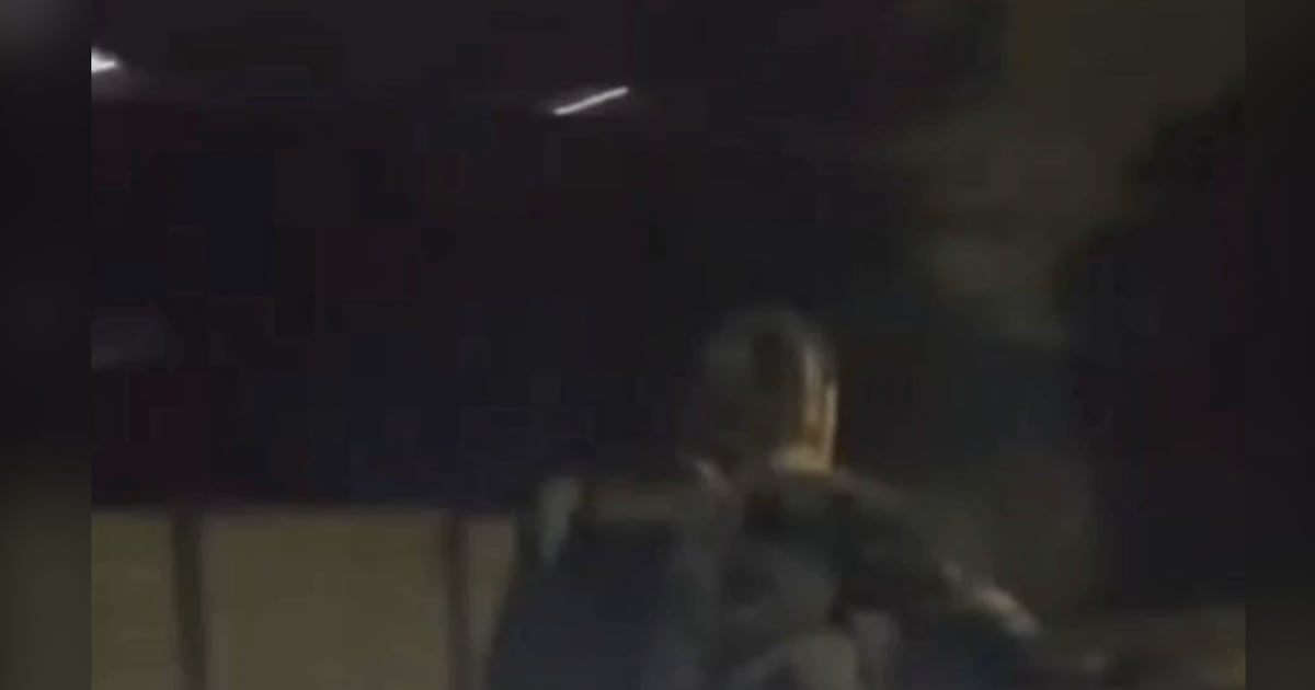 Passenger in SUV that deliberately hit cyclist posted video to social media: police - CTV News