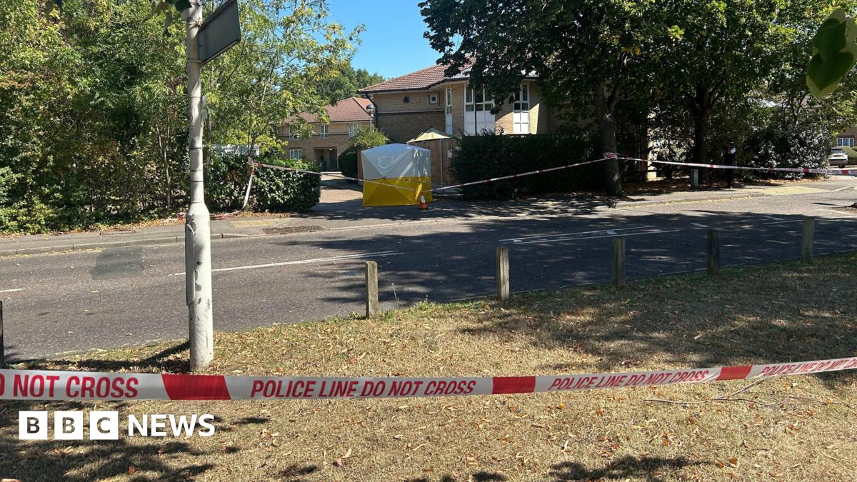 Police cordon in place on a residential Chadwell Heath Lane with a forensic tent set up behind tape near trees and houses.