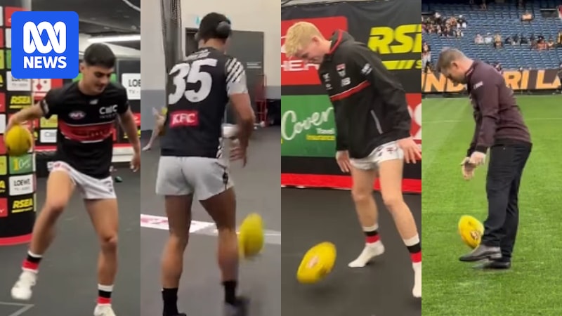 Ash Centra's tricky bounce prompts imitators across the AFL world, including Nick Daicos and Sam Mitchell