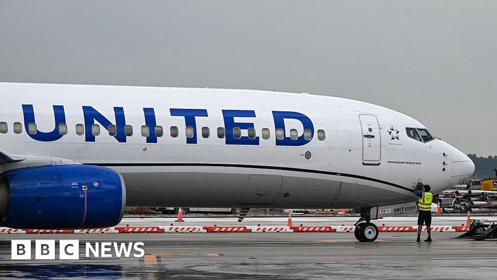 United halts flight departures across US over 'technology issues'