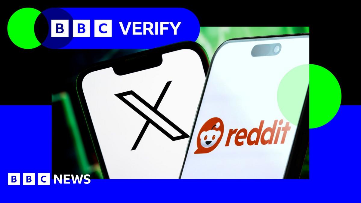 An image showing the X and Reddit logos. They are imposed over the BBC Verify colours and logo.