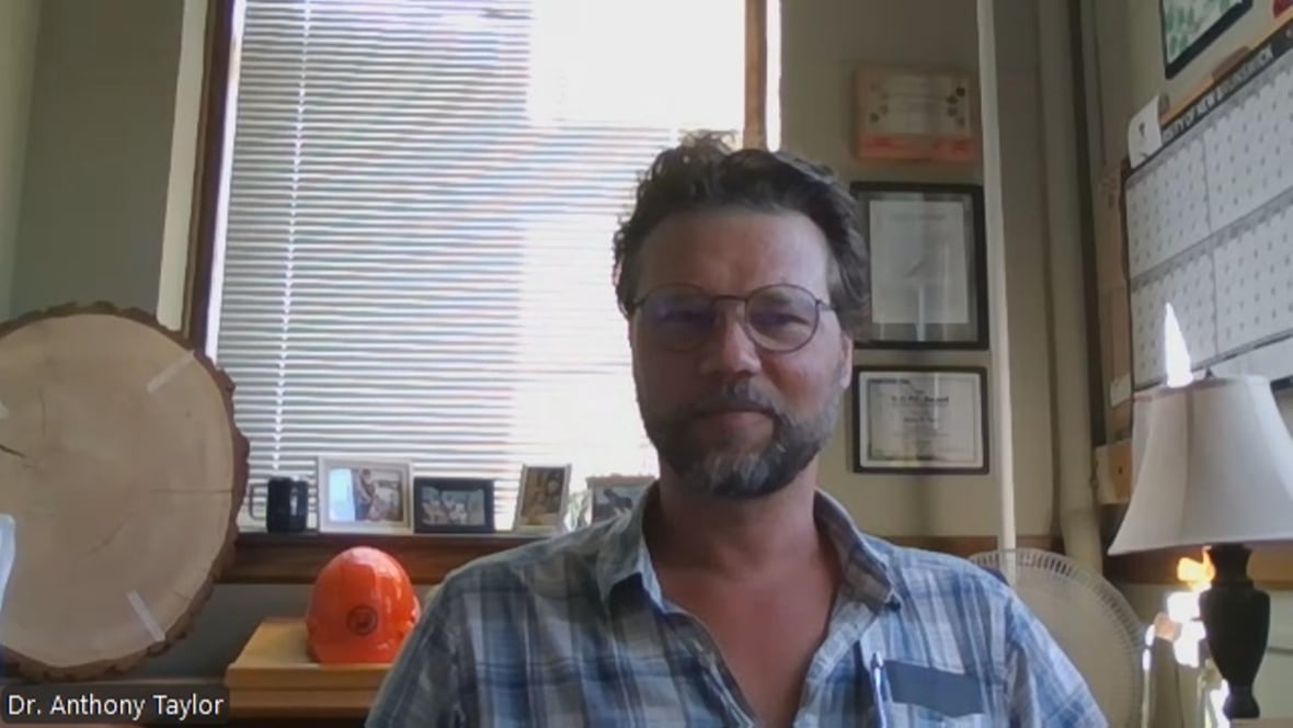 A man with a blue plaid shirt and glasses.