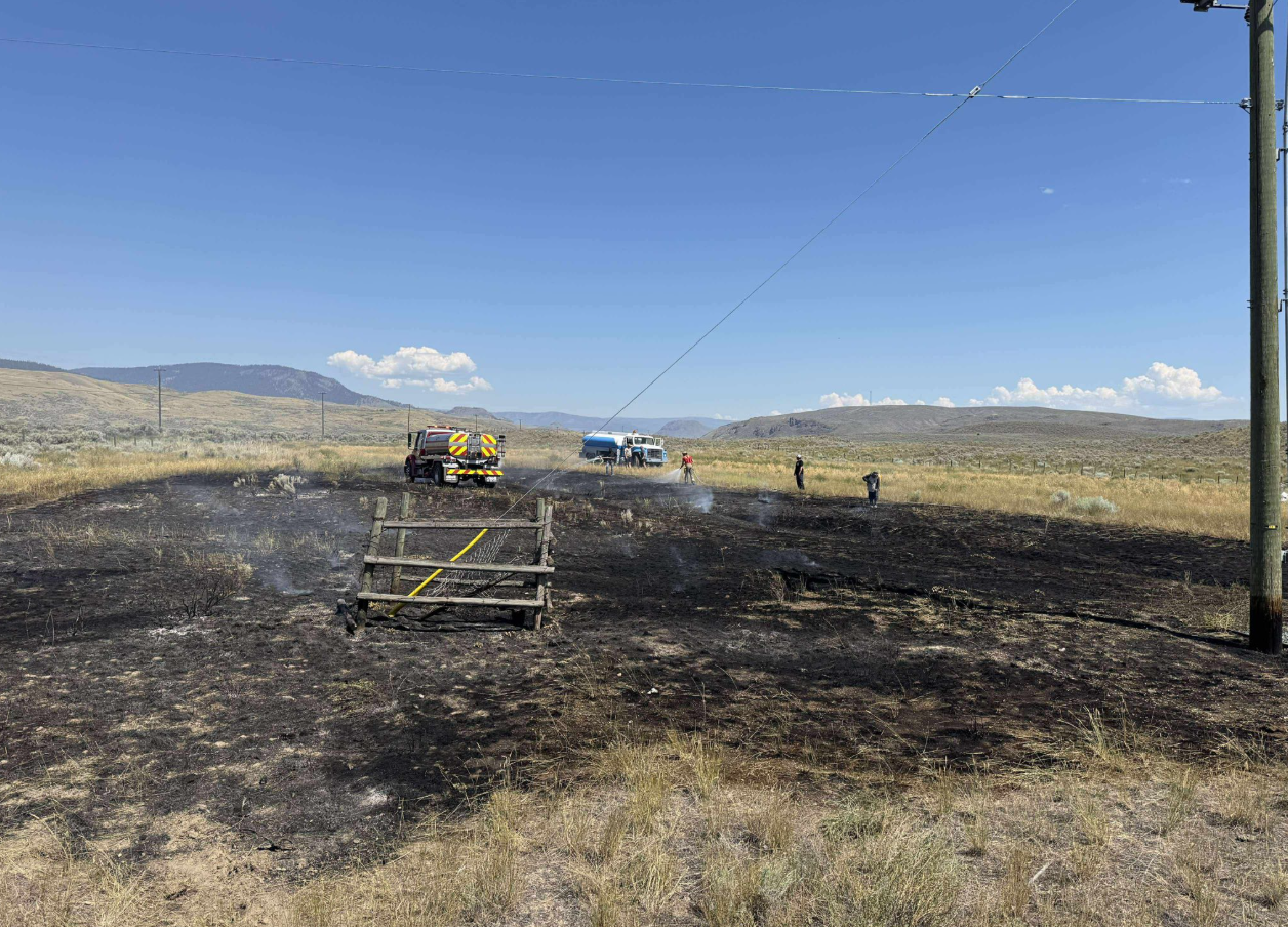 Did a bird and its meal start this Interior wildfire?