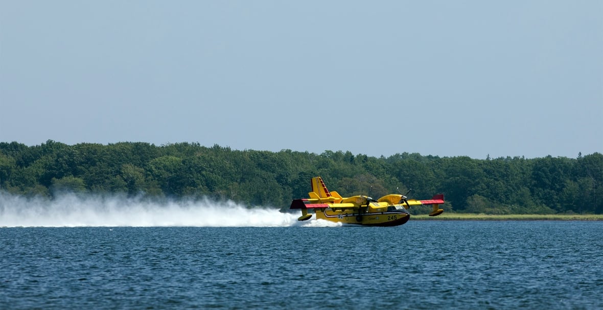 A water bomber plane on the water, collecting water