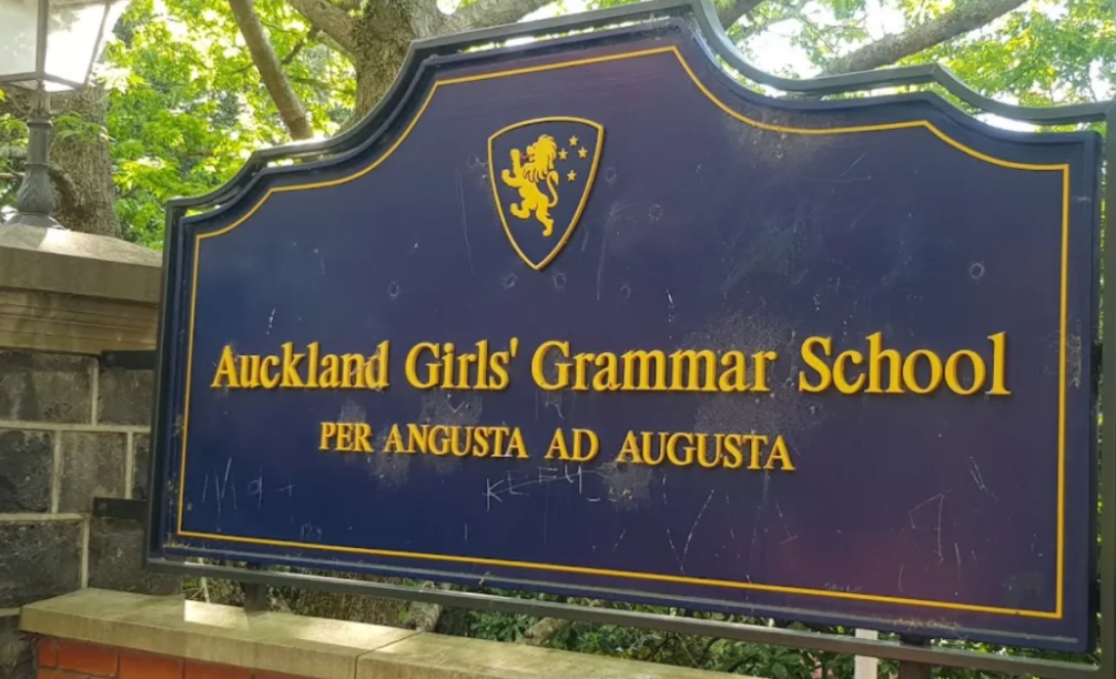 Video shows mass brawl at girls high school