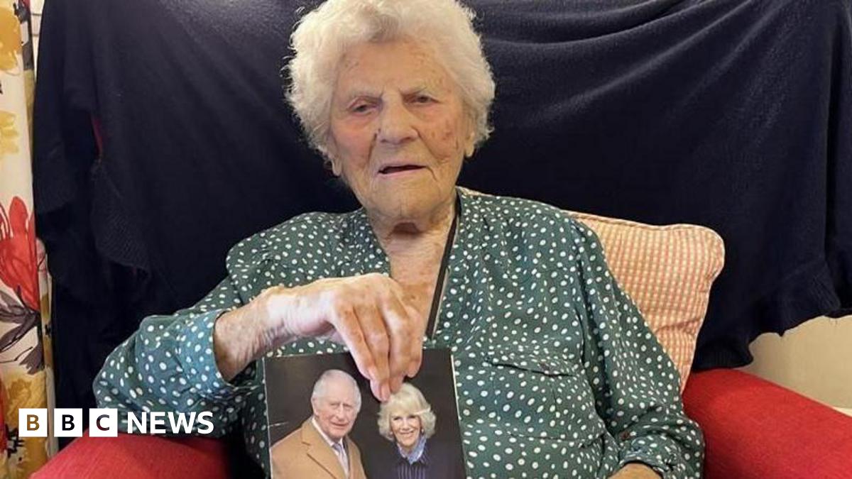 A Yangtze finless river porpoise underwater looks into the camera
