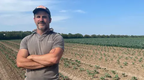 BBC/Malcolm Prior Farmer Ben Andrews, in a grey polo shirt and blue baseball cap, stands with his arms crossed in front of a field of broccoli crops. The sun is shining and the exposed soil in the field is clearly dry, with a sparse covering of broccoli heads coming through.