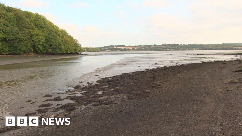 Girl, 11, dies at Cornish beauty spot after incident in water