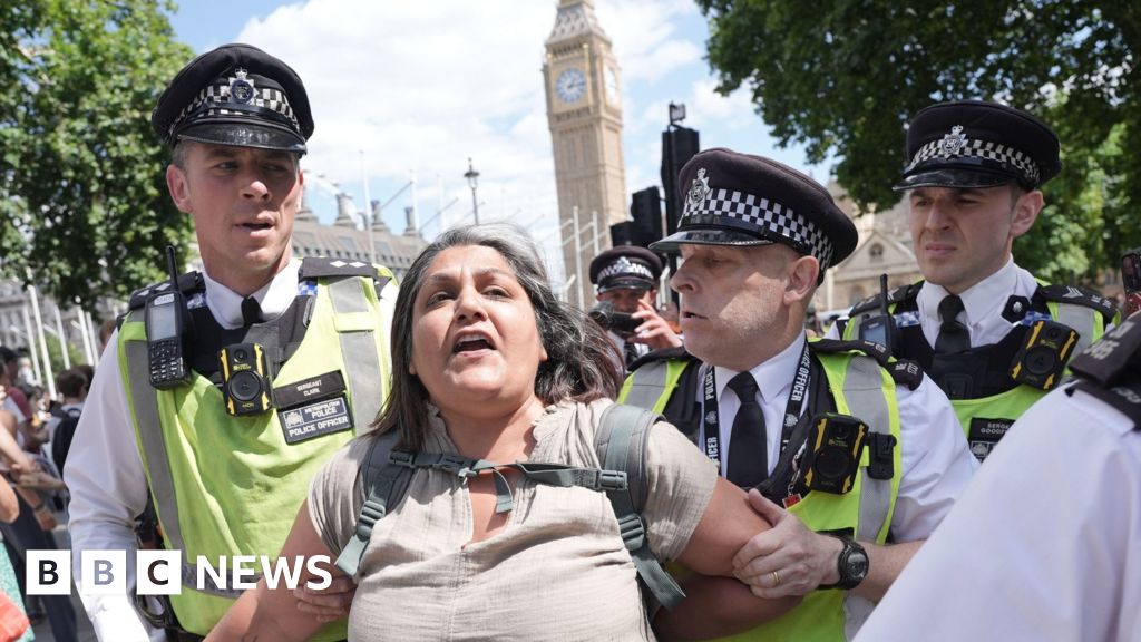 Police make arrests at Palestine Action ban protests