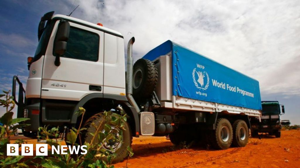 Army denies bombing WFP convoy in Darfur