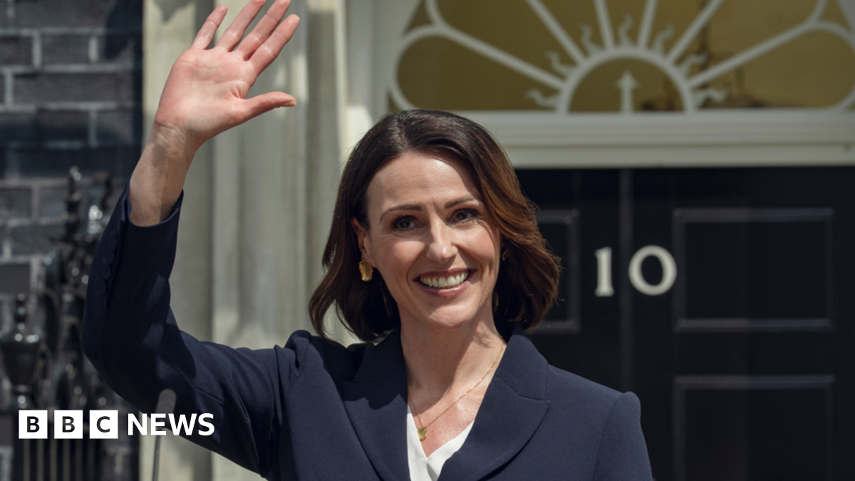 A Yangtze finless river porpoise underwater looks into the camera